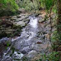 Lamington National Park Trip! 