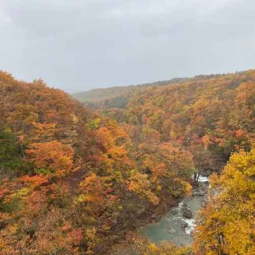 【岩手県】渓谷全体が紅葉の絶景へ