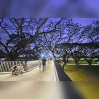สวนป่า กลางกรุง