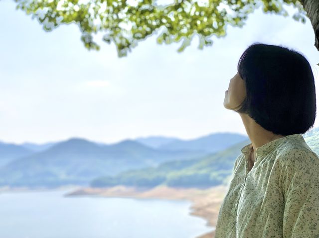 순천 인생샷 스팟 & 드라이브 코스로 추천 ‘상사호’