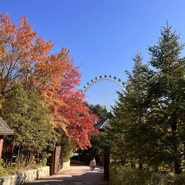 韓国【エバーランド】テーマパークで愉しむ韓国の秋🍁