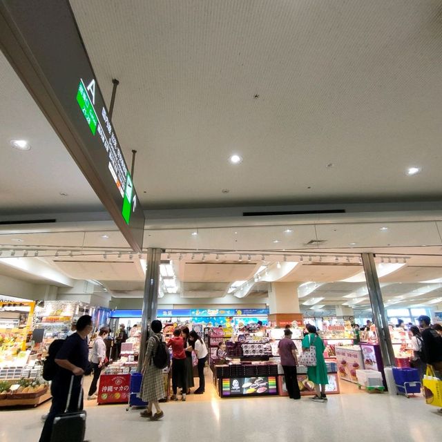 【沖縄 那覇】那覇空港に到着ですー🏝️🪸🏝️
