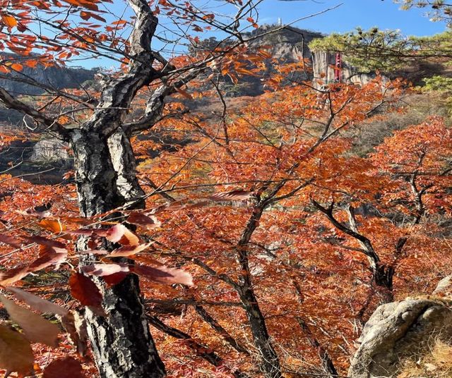 가을 산행 추천 (대둔산)