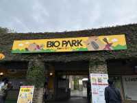 広くて距離の近い動物園
