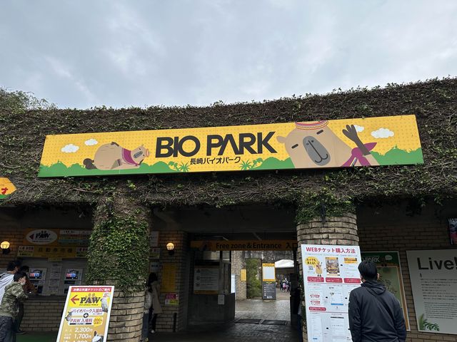 広くて距離の近い動物園