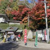 紅葉季看最美犬山市寂光院