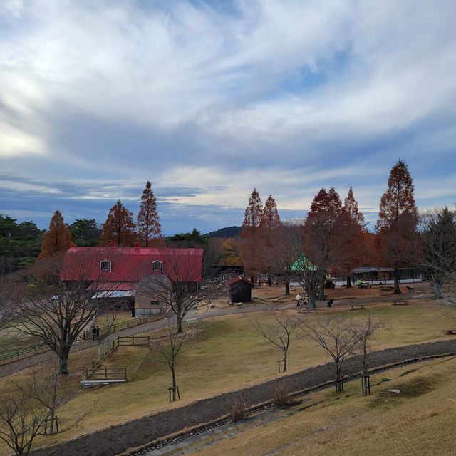 設有自家芝士館｜六甲山牧場
