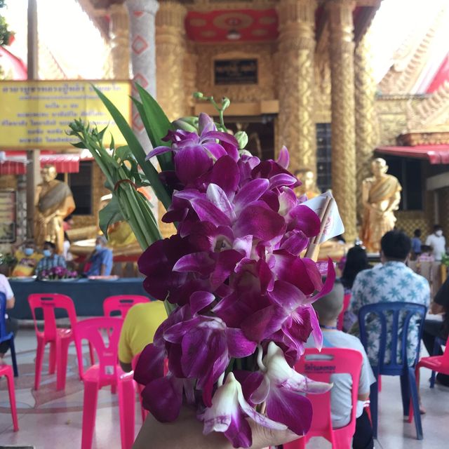 หลวงปู่หลิวขี่เต่า วัดไร่แตงทอง