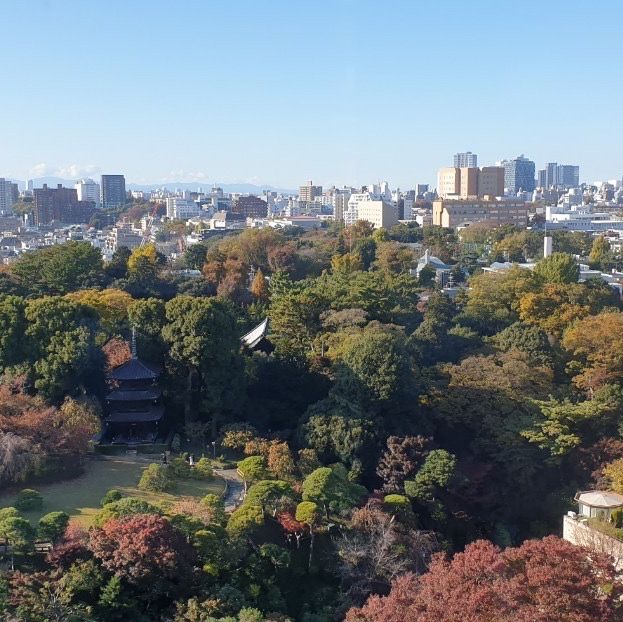 久違了東京椿山莊飯店