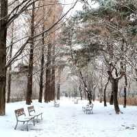 ❄️ 눈이 오면 서울숲 공원으로