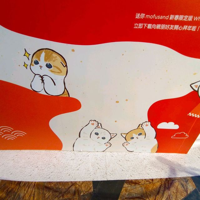 最萌的日本貓福珊迪寶寶，帶大家去日本春遊！