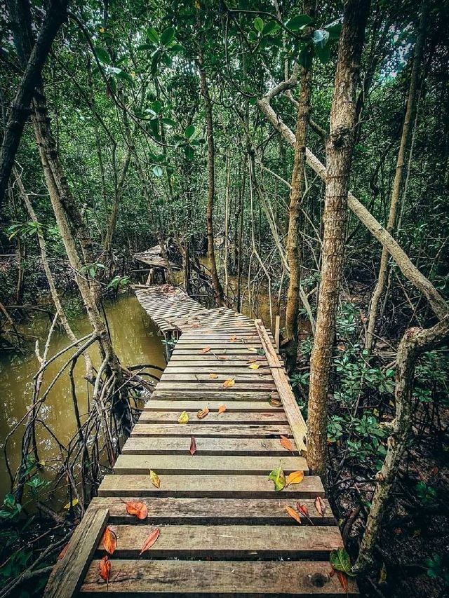 Bagan Lalang, Sepang