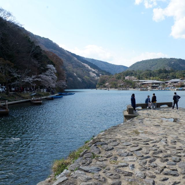 京都｜嵐山保津川櫻花