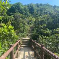 小馬山