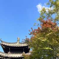 한껏 가을을 만끽할 수 있는 수원 월화원!🍂