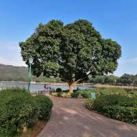 靚靚休閒及野餐好地方