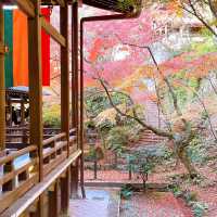 【紅葉巡り】京都ー永観堂