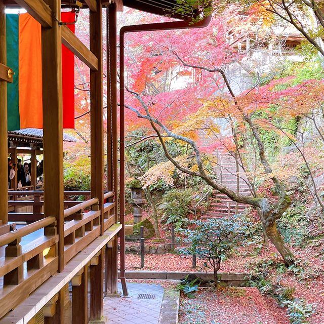 【紅葉巡り】京都ー永観堂