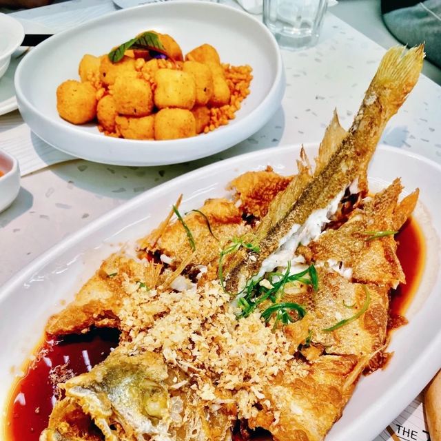 長在雲朵里的大樹｜大樹餐廳