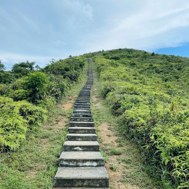 花瓶頂