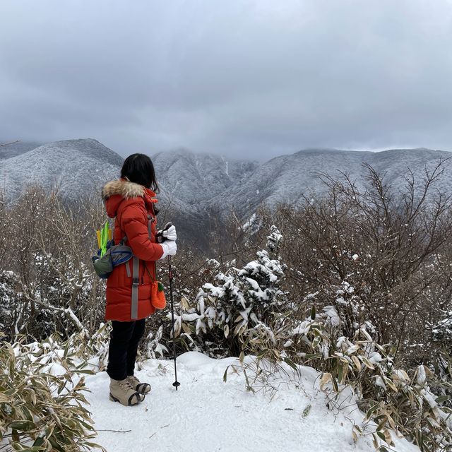 🏔미니 한라산, 어승생악에서 눈오리만들기❄️🐤