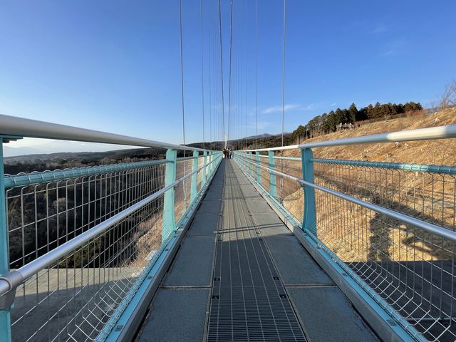 【静岡】日本一の吊橋・三島スカイウォーク
