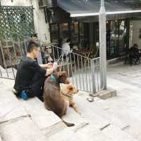 中上環散策
