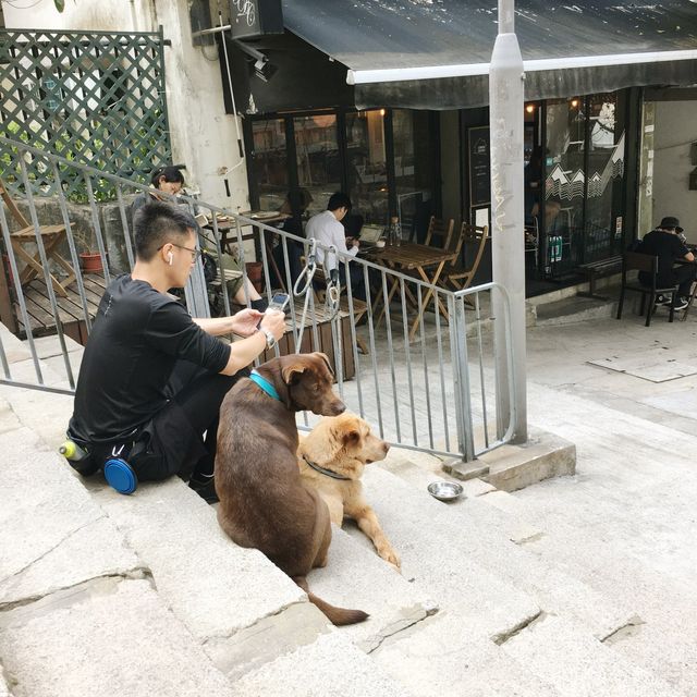 中上環散策