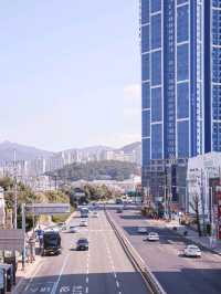 벚꽃 구경하기 좋은 부산 구포역