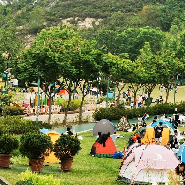 市區大草原佐敦谷公園