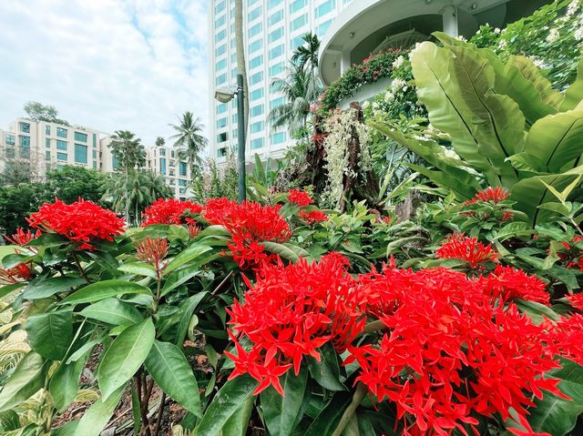 Tranquil floral gardens