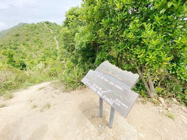 八仙嶺全走