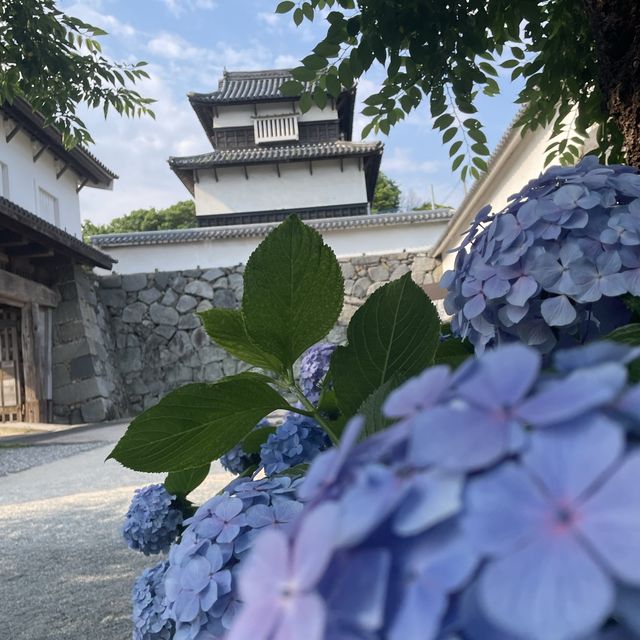 福岡城跡
