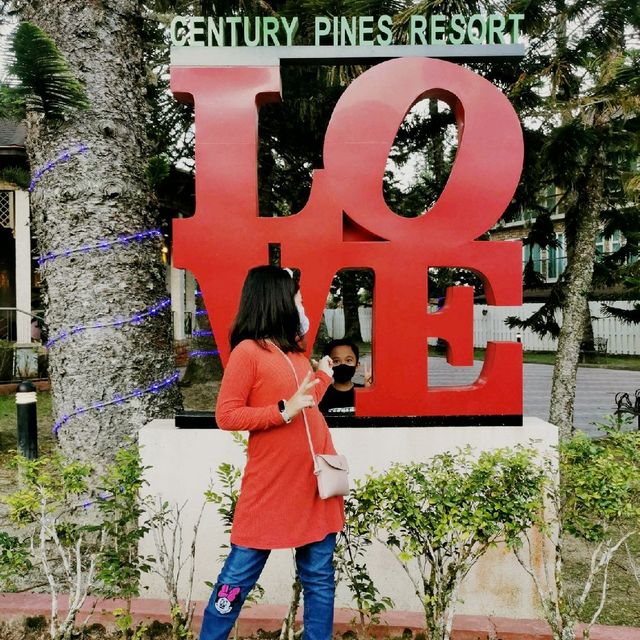 Century Pine Hotel the Love hotel