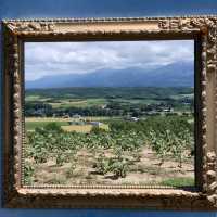 まるで絵画のような風景😊フラワーランドかみふらの