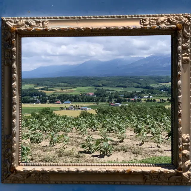 まるで絵画のような風景😊フラワーランドかみふらの