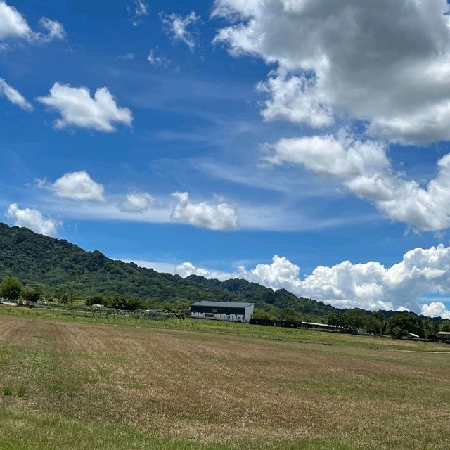 大農大富平地森林園區