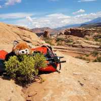 Stunning Red Rocks of Arches National Park