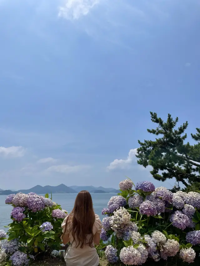 통영 수국 맛집💙이순신 공원💙