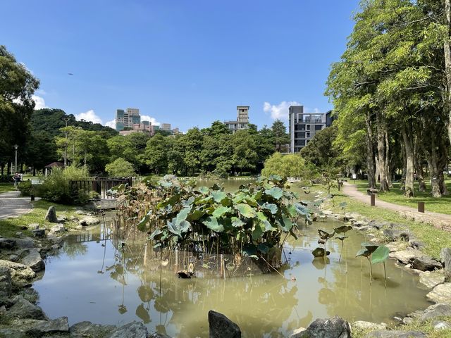 有沒有像台版兼六園呢 這邊就像是一個台版的金澤花園 