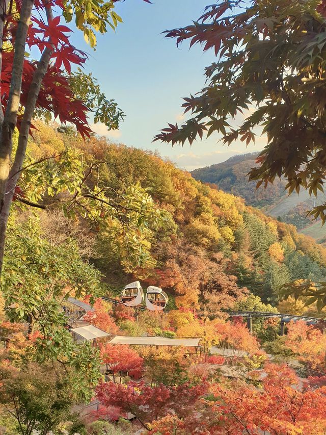 10월 핫플 여행지::화담숲🍁