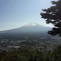 Mr.Fuji 