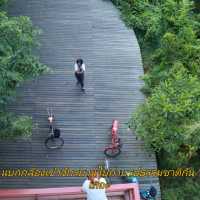 "บางกระเจ้า" แหล่งธรรมชาติที่ใกล้กรุงเทพ