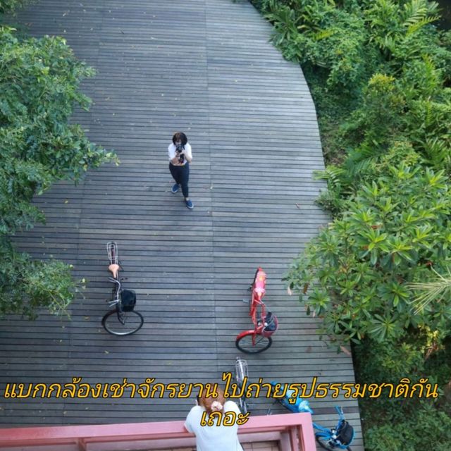 "บางกระเจ้า" แหล่งธรรมชาติที่ใกล้กรุงเทพ