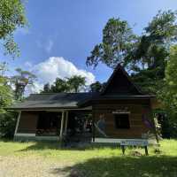 Sepilok Rainforest Discovery Centre 