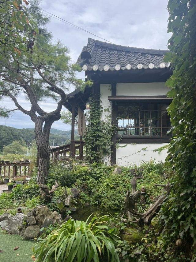 일본 감성 낭낭하게 느낄수 있는 라멘 맛집, 제천 금성제면소