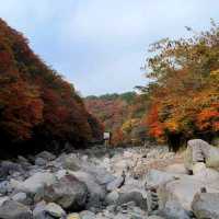 한라산 아래 제주 단풍 명소 <천아계곡>