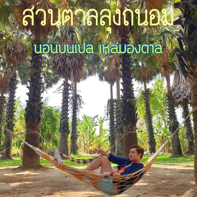 📌สวนตาลลุงถนอม  จ.เพชรบุรี🐾🐈