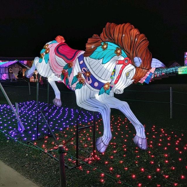 千葉県！ドイツ村イルミネーションその②
