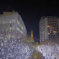 東京聖誕必去打卡位 六本木櫸木坂通